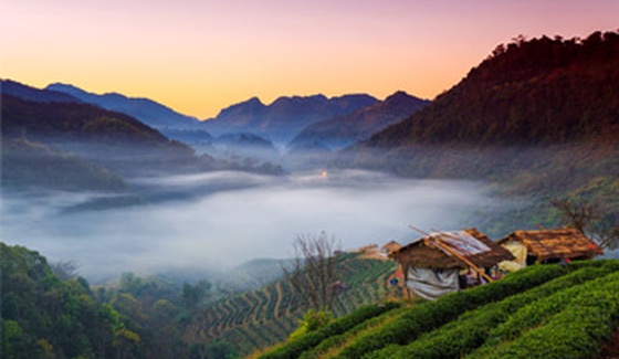 Chiang Mai